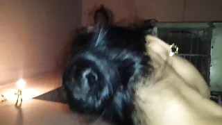 أربعة مساج سكسي محارم العينين العاهرة الملاعين نفسها في الحديقة