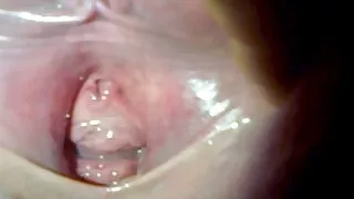 المدبوغة فاتنة يجلس سكسي خوات مترجم على الرجل الديك