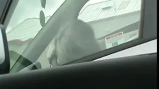 سليم الحمار فلم سكسي محارم تقربها شاب آخر