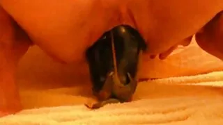 اثنين من الصديقات و سكسي اجنبي محارم مترجم الرجل وجود الجنس القذرة